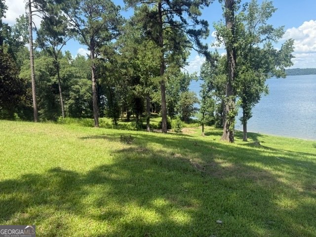 111 Lakeview Drive Eufaula - 30