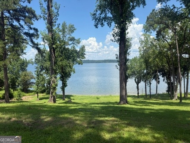111 Lakeview Drive Eufaula - 31