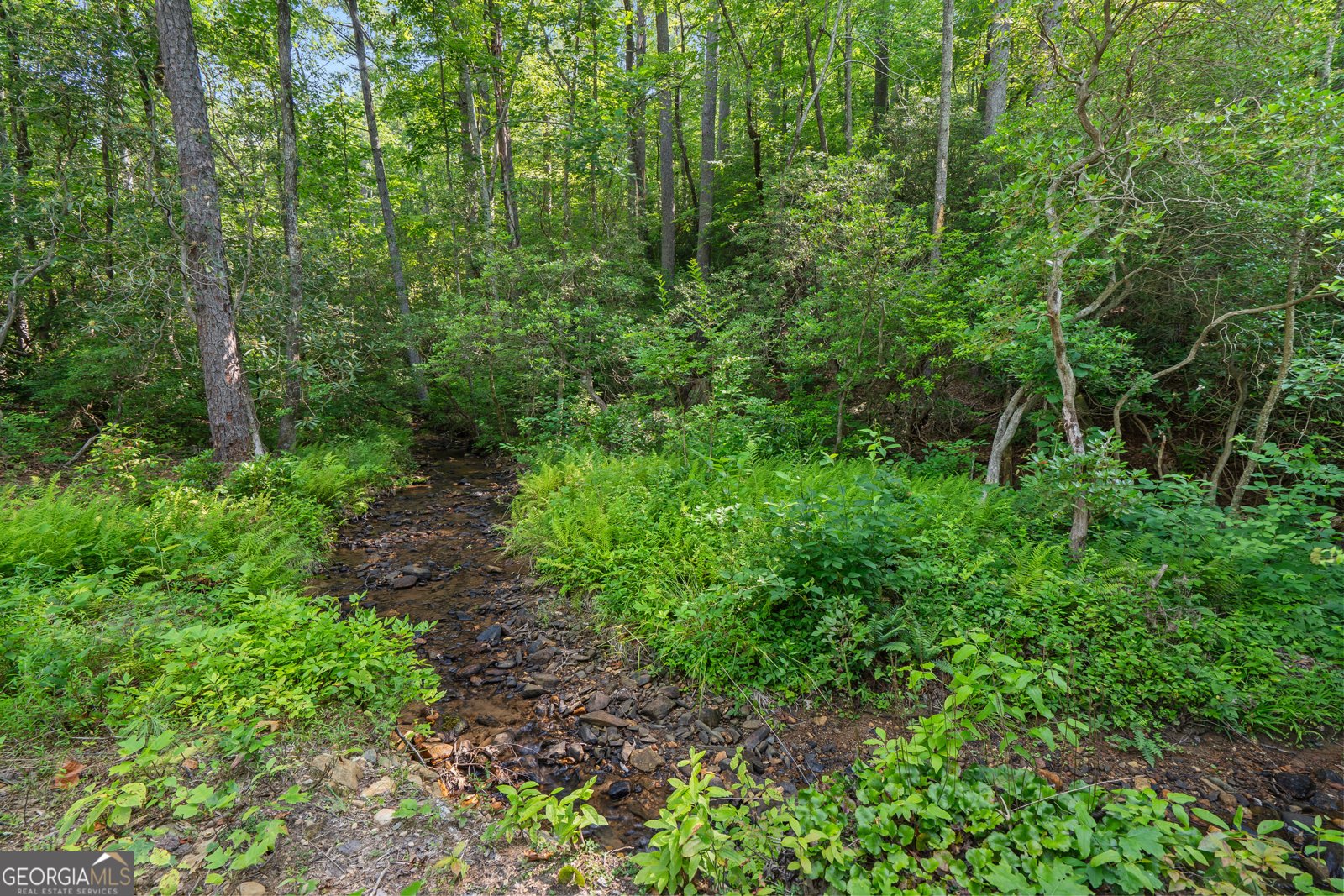 179 Blalock Goldmine Road Clayton - 7