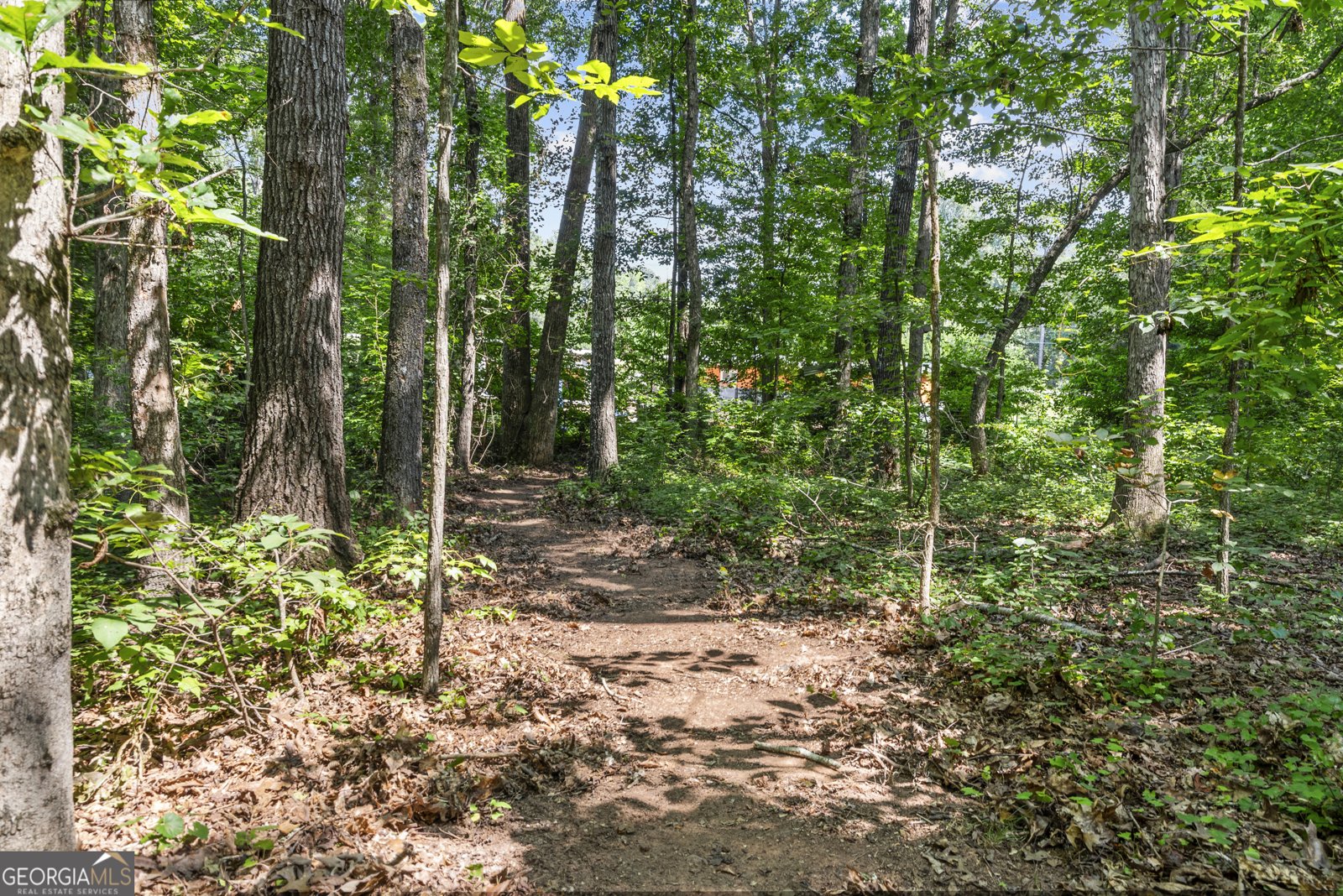 3005 Smokey Road Athens - 38