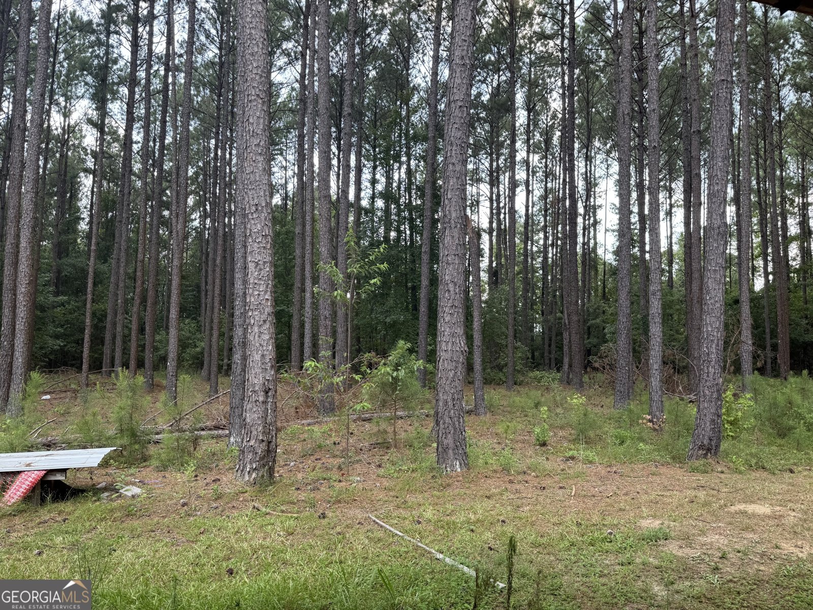 1550 Adabelle Road Register - Photo 27