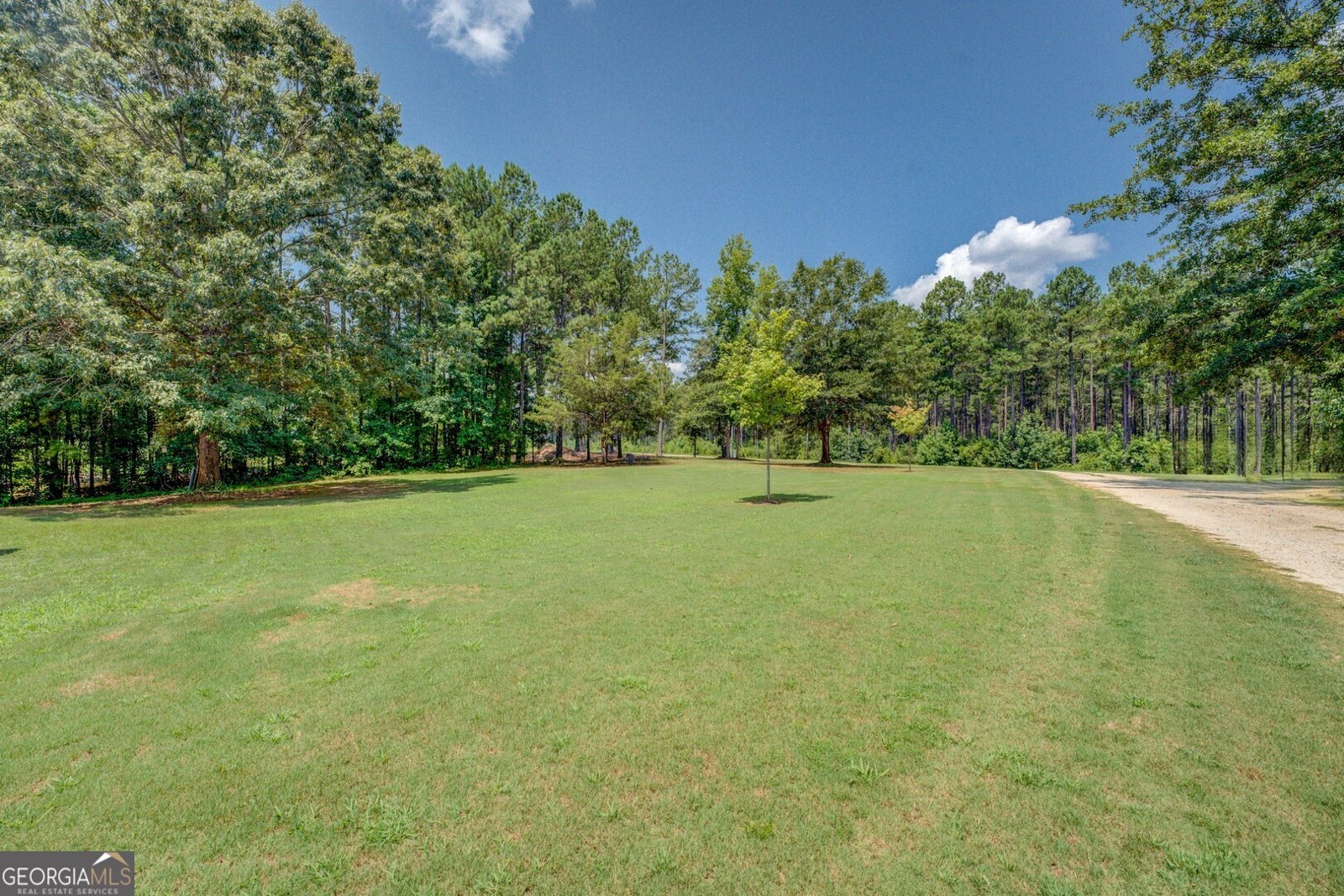 1893 Gaithers Road Covington - 3