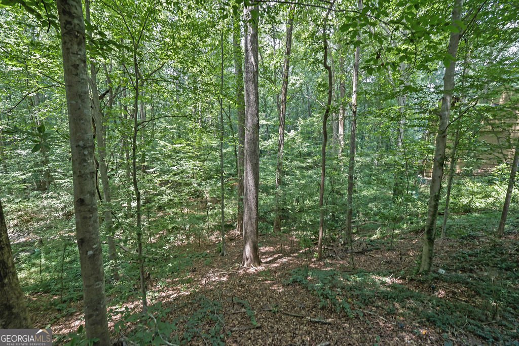 2451 Cedar Fork Trail Marietta - 3