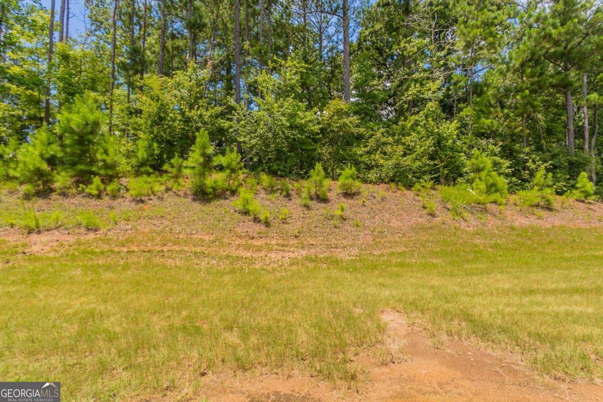 144 Charolais Drive Mcdonough - 30