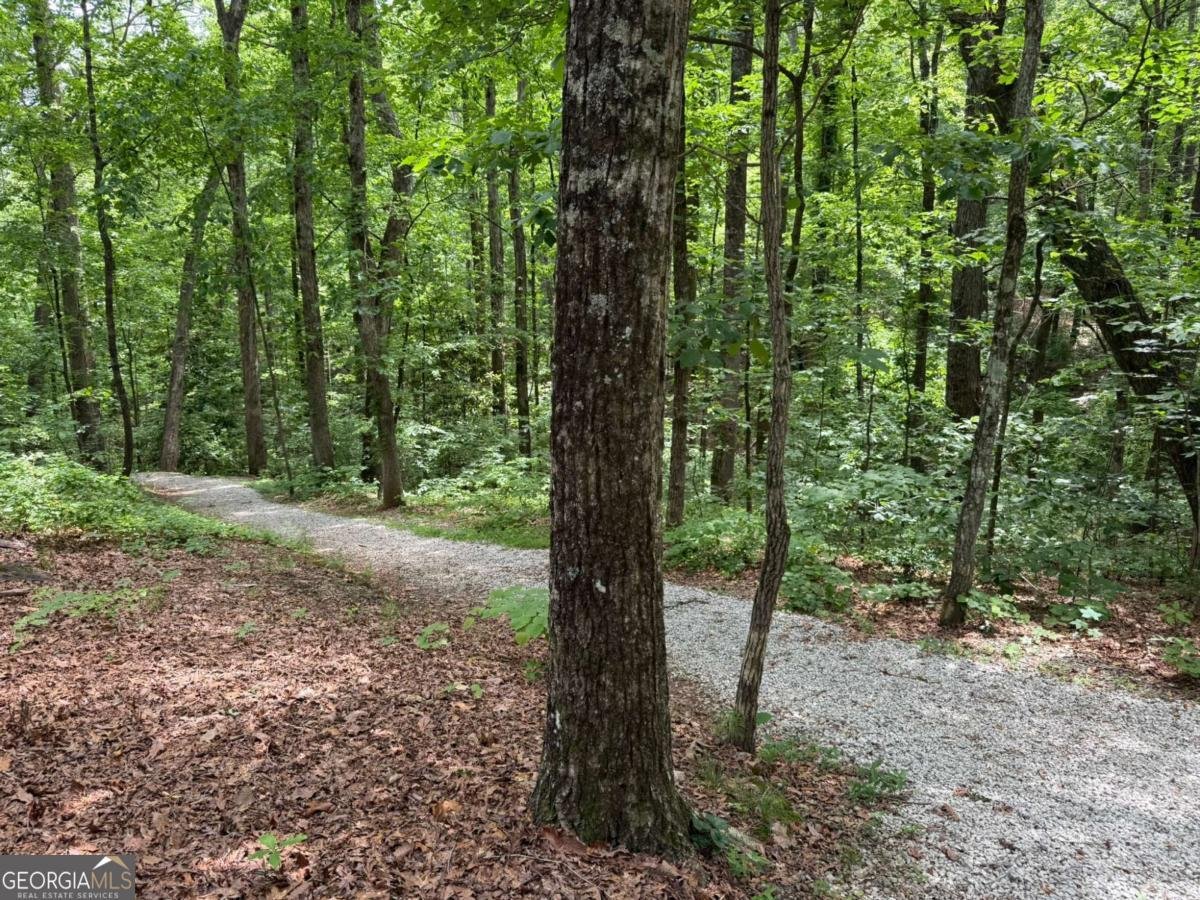 2066 Fairgreen Drive Tucker - 77