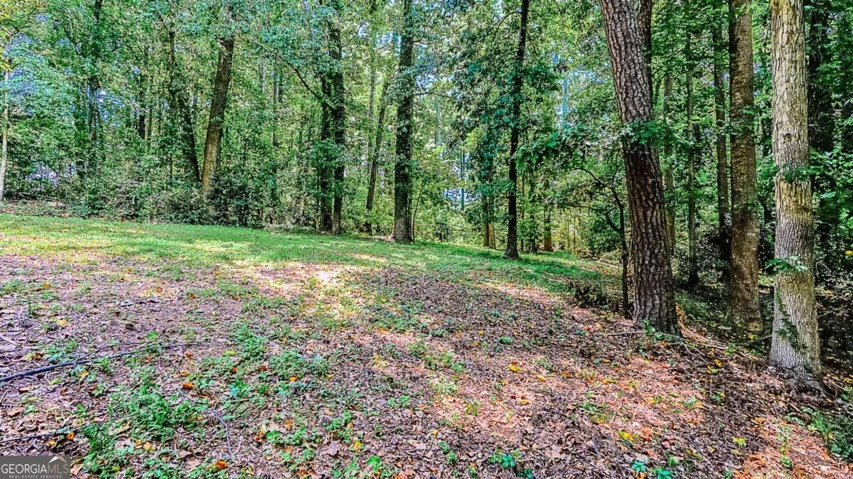 416 Pineburr Lane Stone Mountain - 37