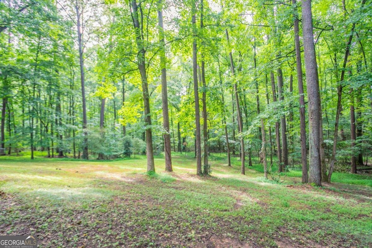 146 Springvalley Circle Stockbridge - 26