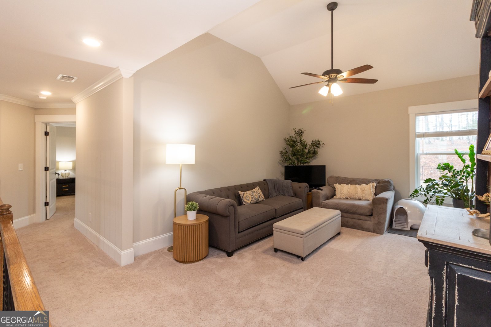 227 Blue Point Parkway Fayetteville - 46