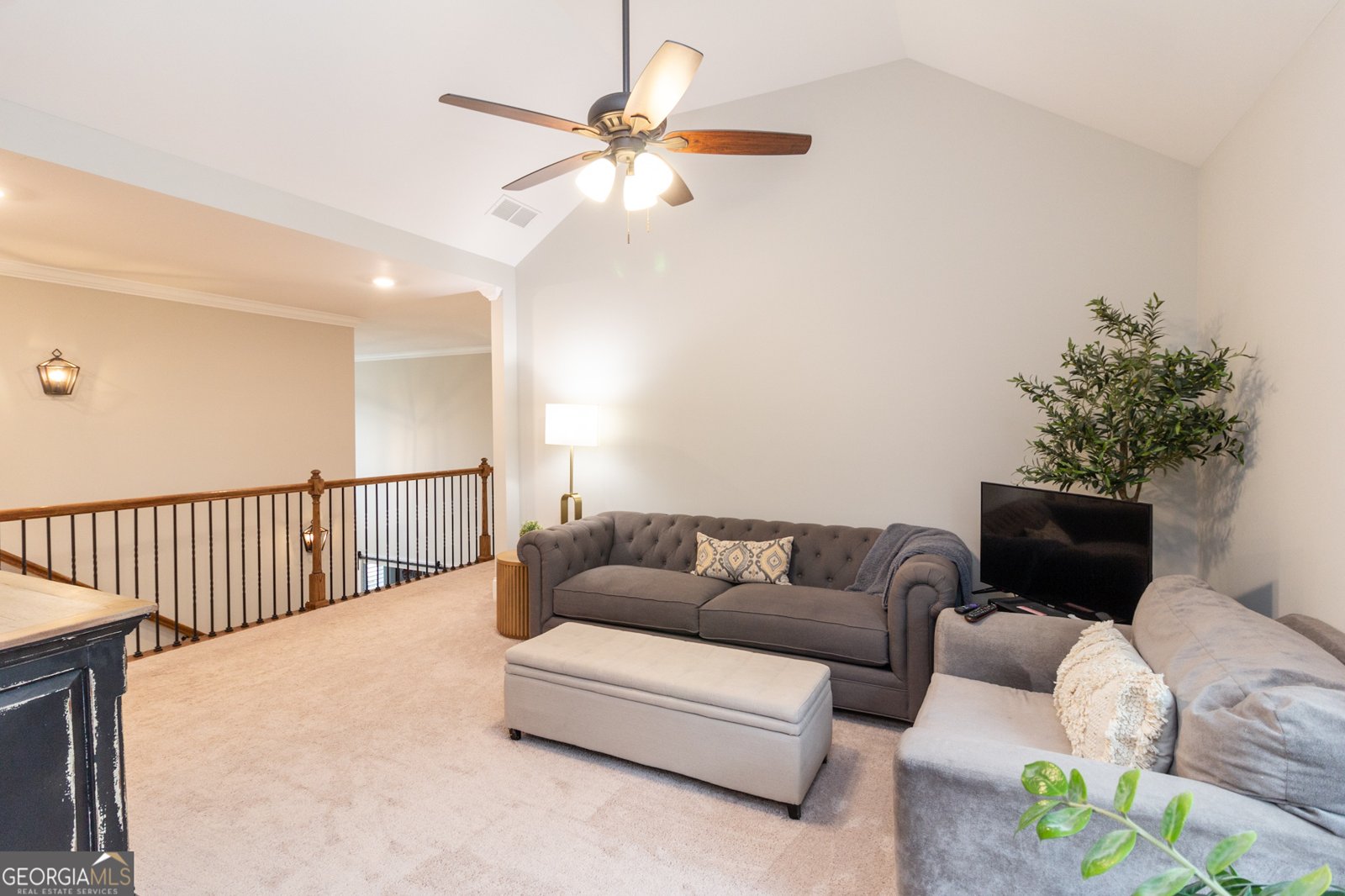 227 Blue Point Parkway Fayetteville - 49