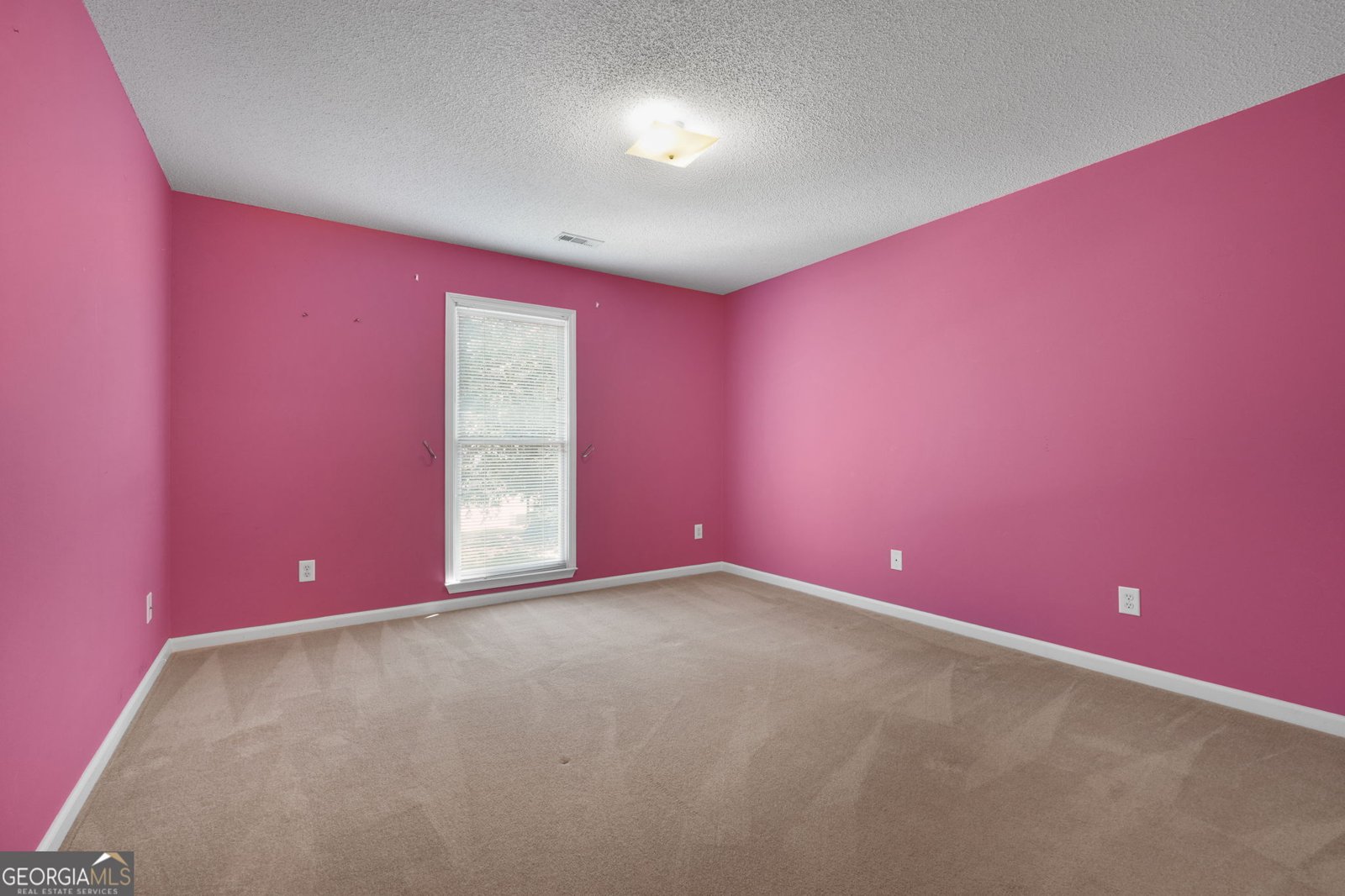 1285 Lake Forest Lane McDonough - 23