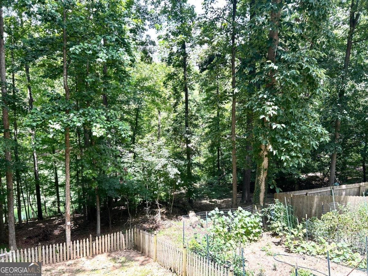 6695 Thunder Trail Gainesville - 41