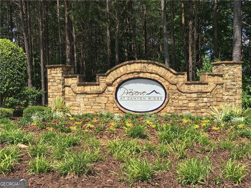 110 Canyon Ridge Trail Canton - 31