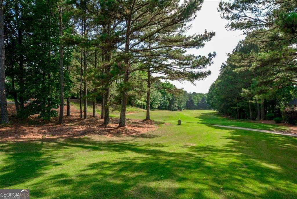 1060 FAIRWAY VALLEY Drive Woodstock - 44