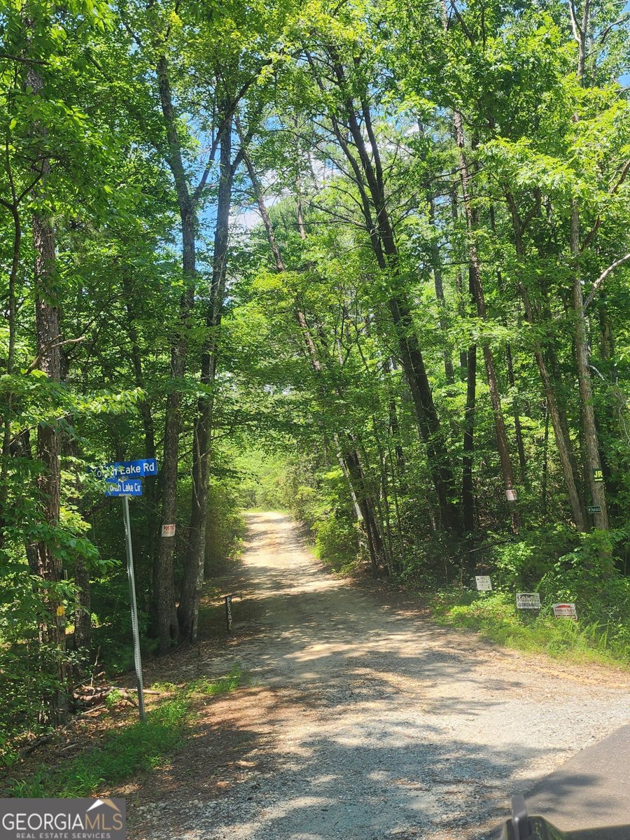 568 Yonah Lake Road Toccoa - 23