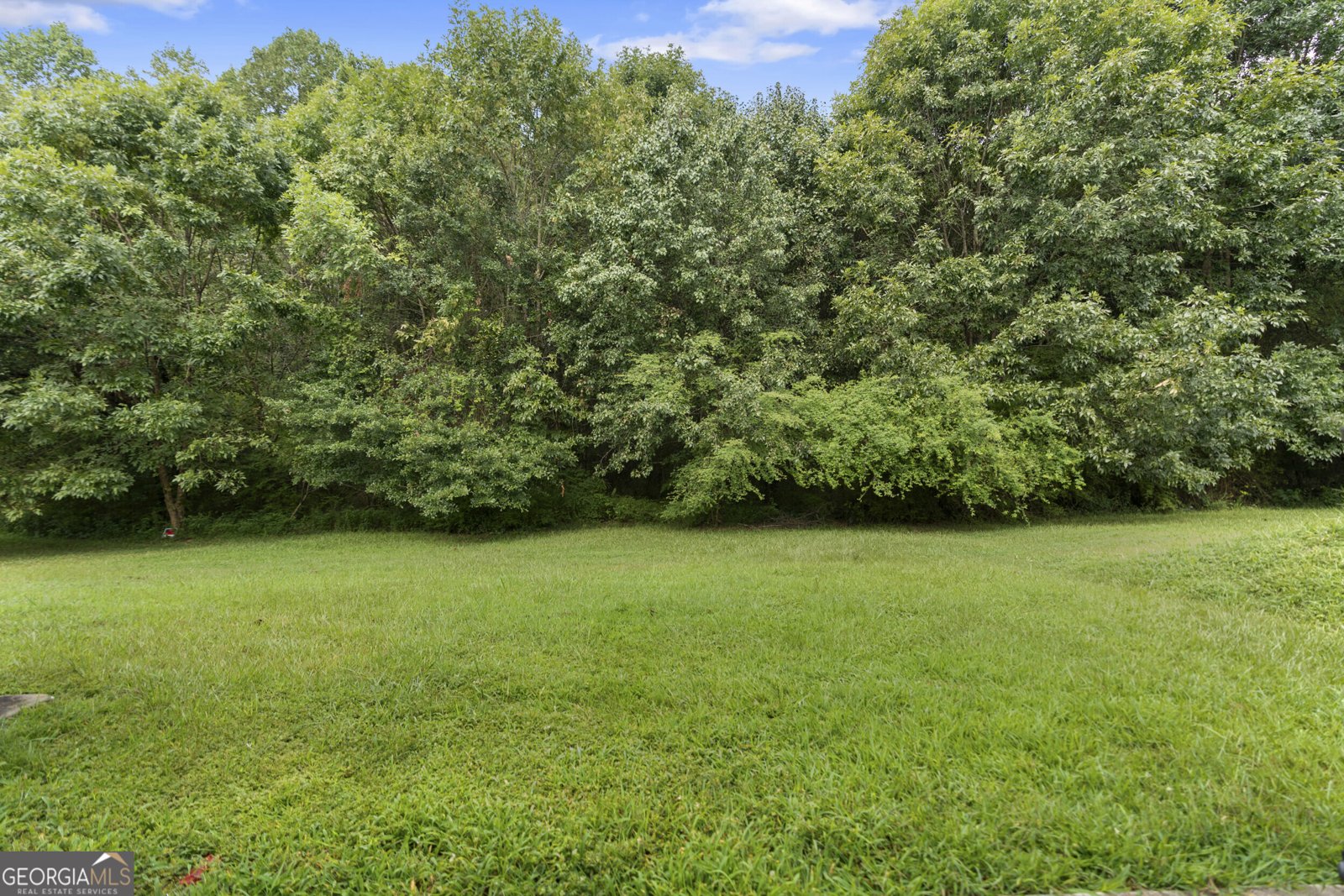 8399 Carlington Lane Jonesboro - 21