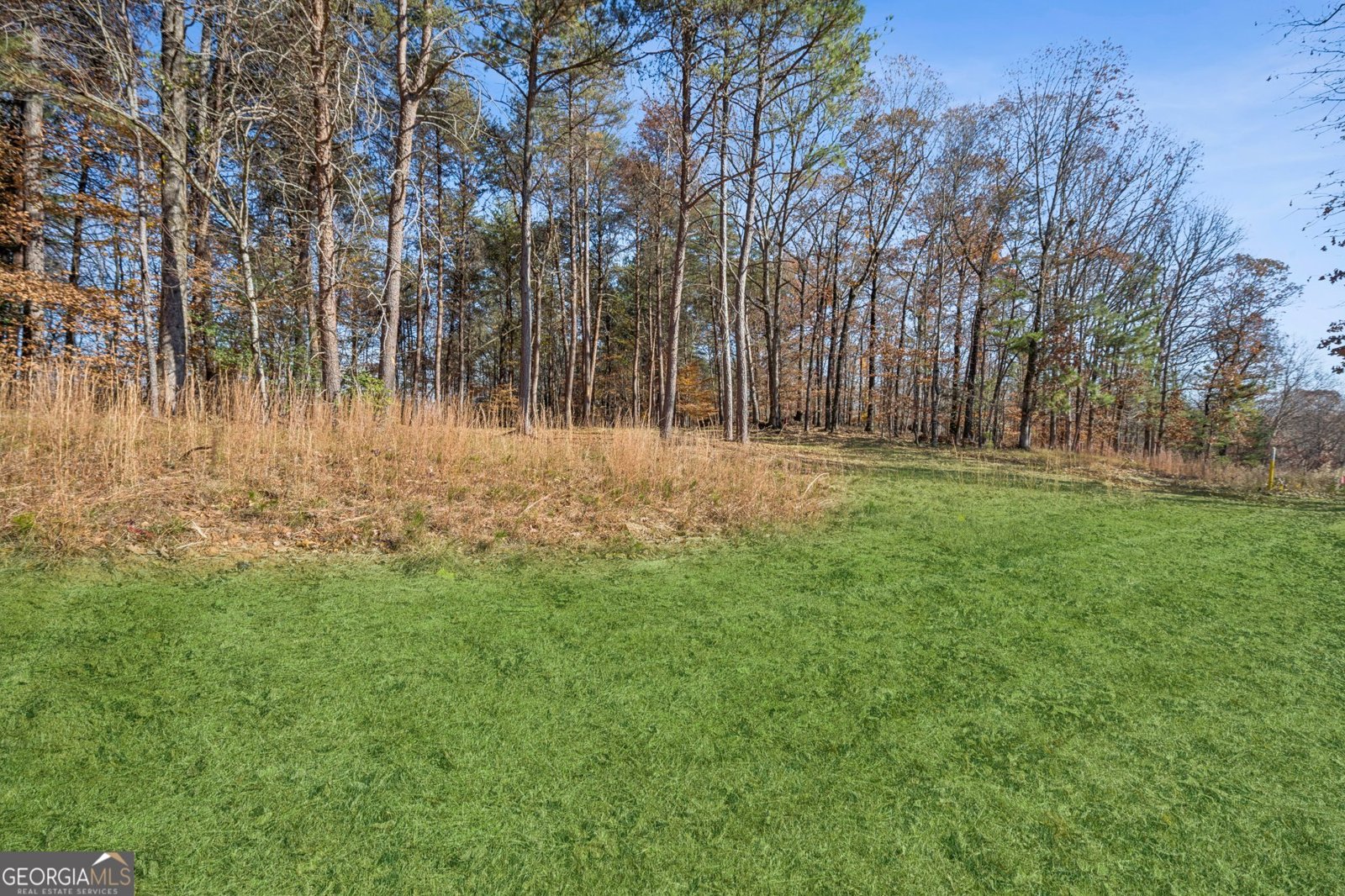 4546 FAWN Path Gainesville - 60