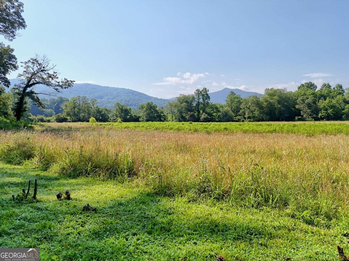 5648 Pine Crest Road Young Harris - 20