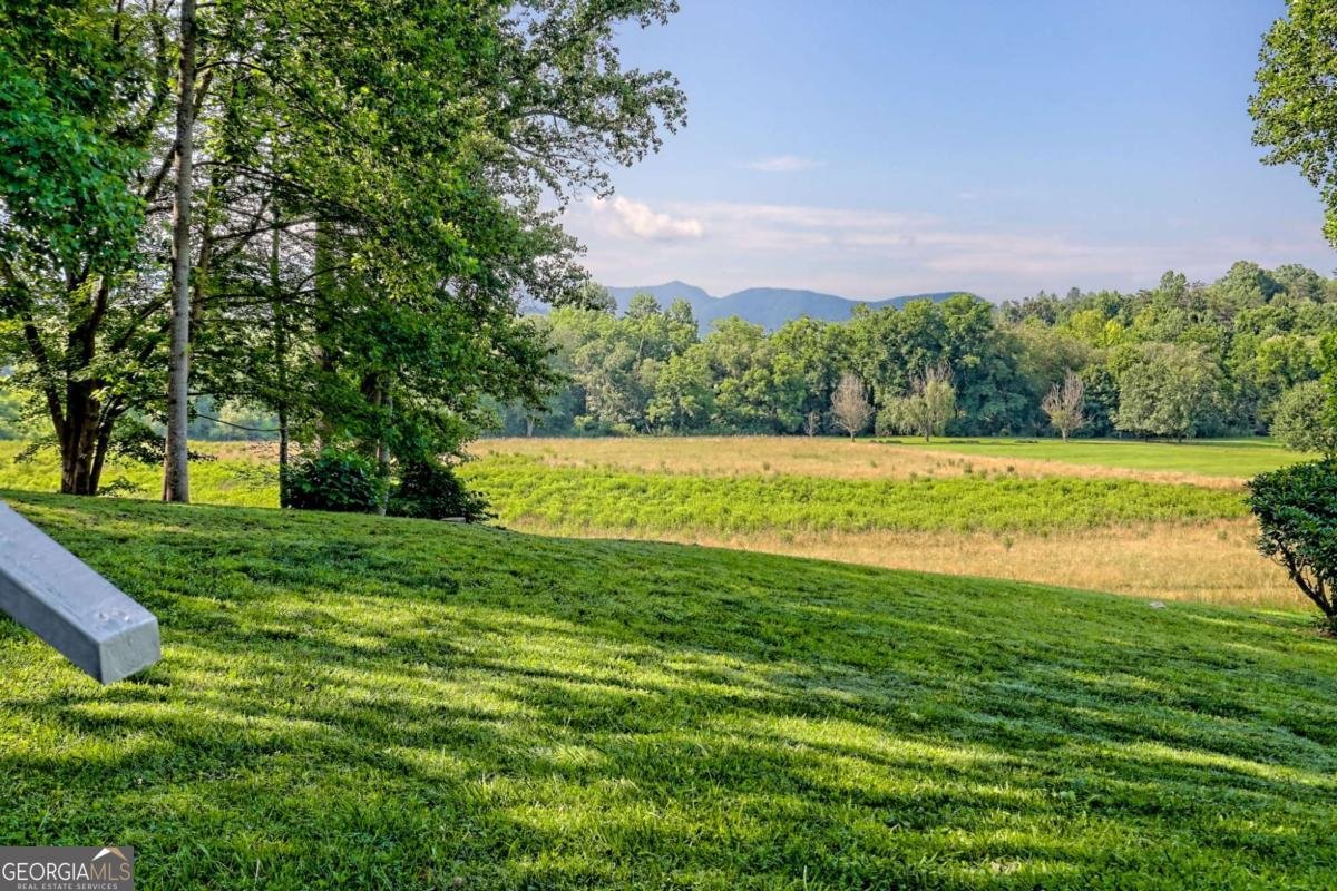 5648 Pine Crest Road Young Harris - 47