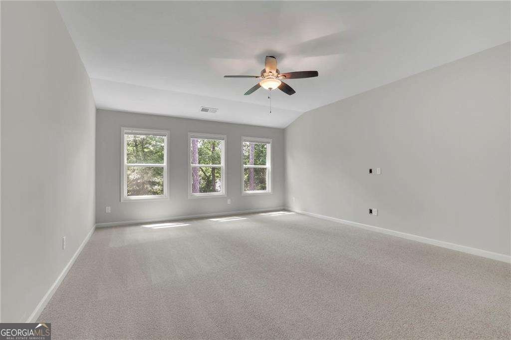 238 Harmony Lake Drive Canton - 22
