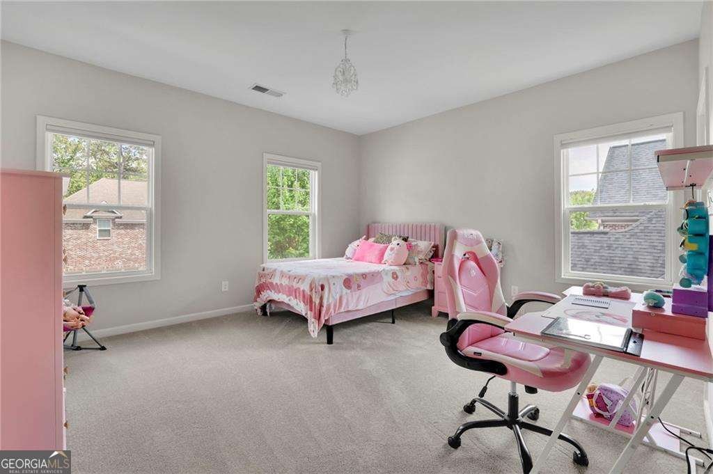 238 Harmony Lake Drive Canton - 26