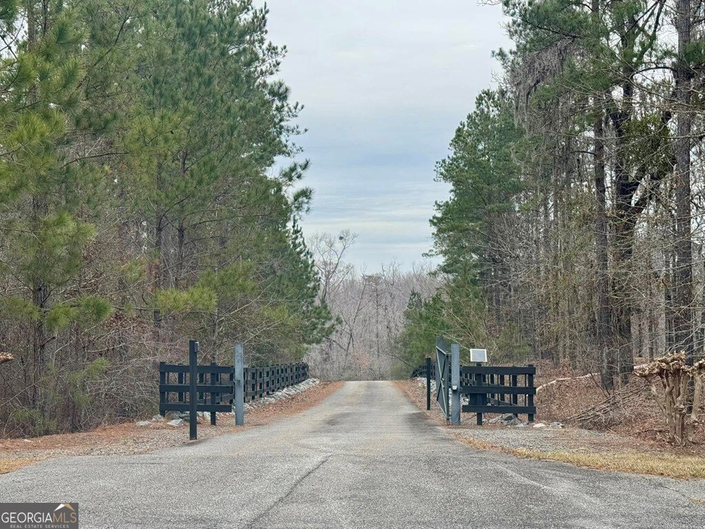 1030 Grey Wolf Trail Dublin - 15