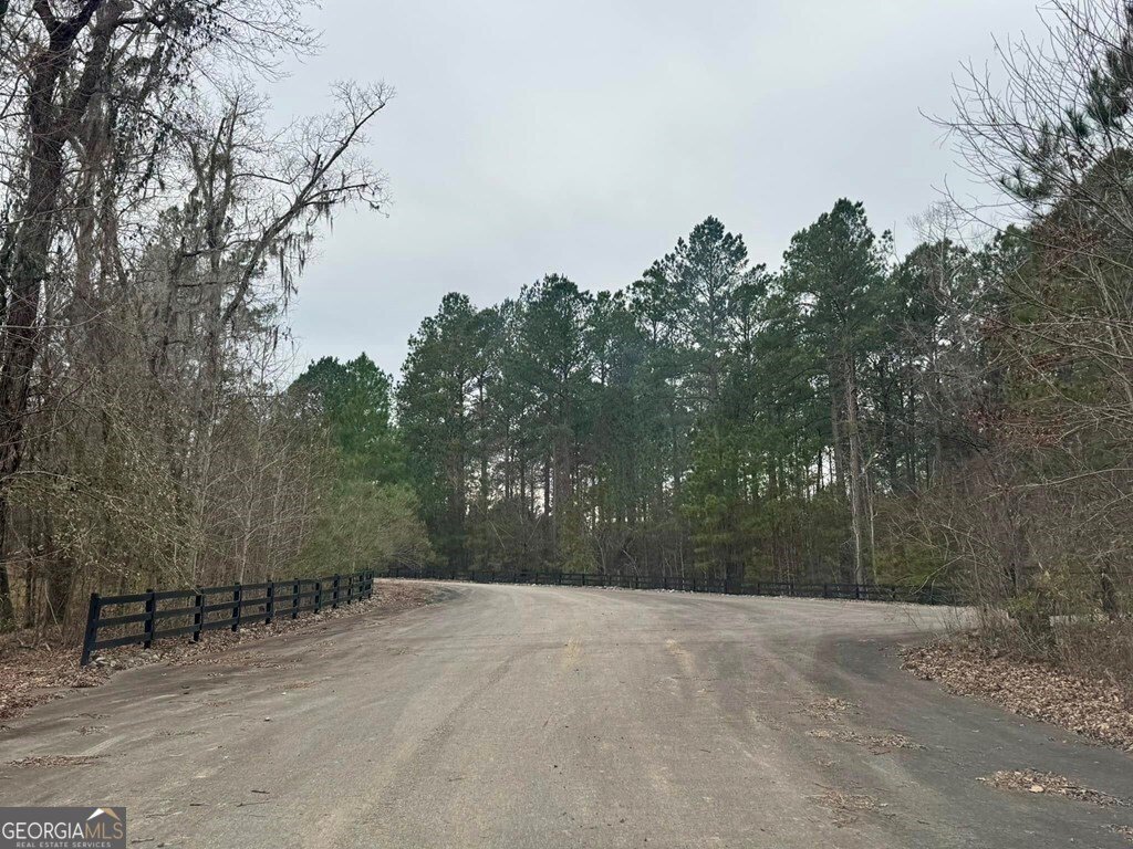 1030 Grey Wolf Trail Dublin - 16