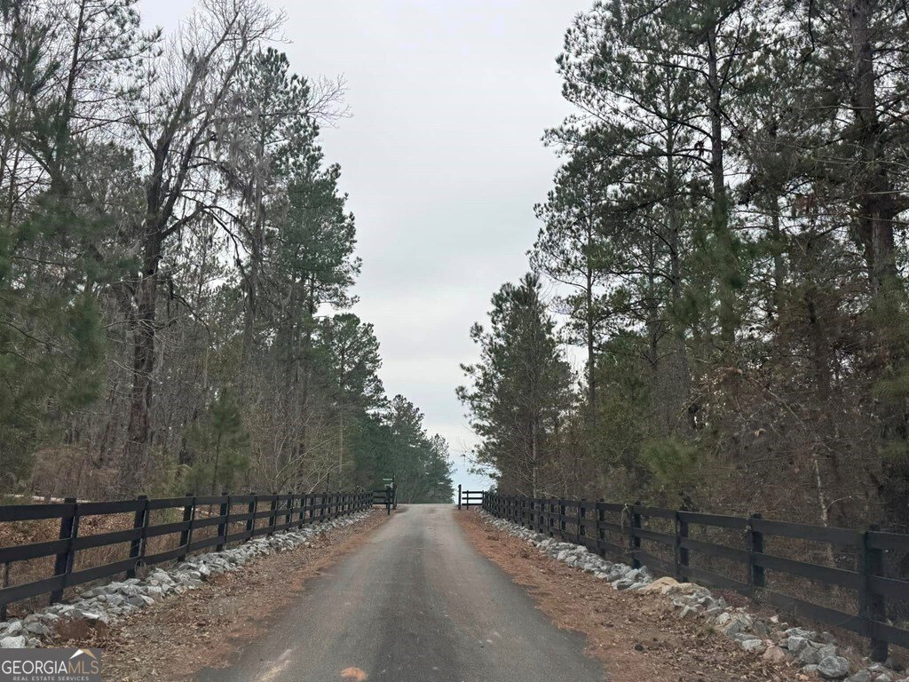1030 Grey Wolf Trail Dublin - 2