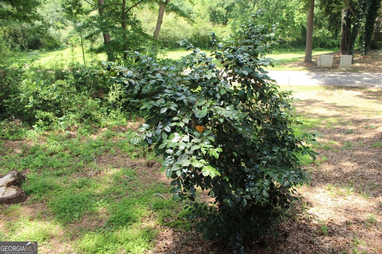 1159 VILLAGE MAIN Stone Mountain - 22