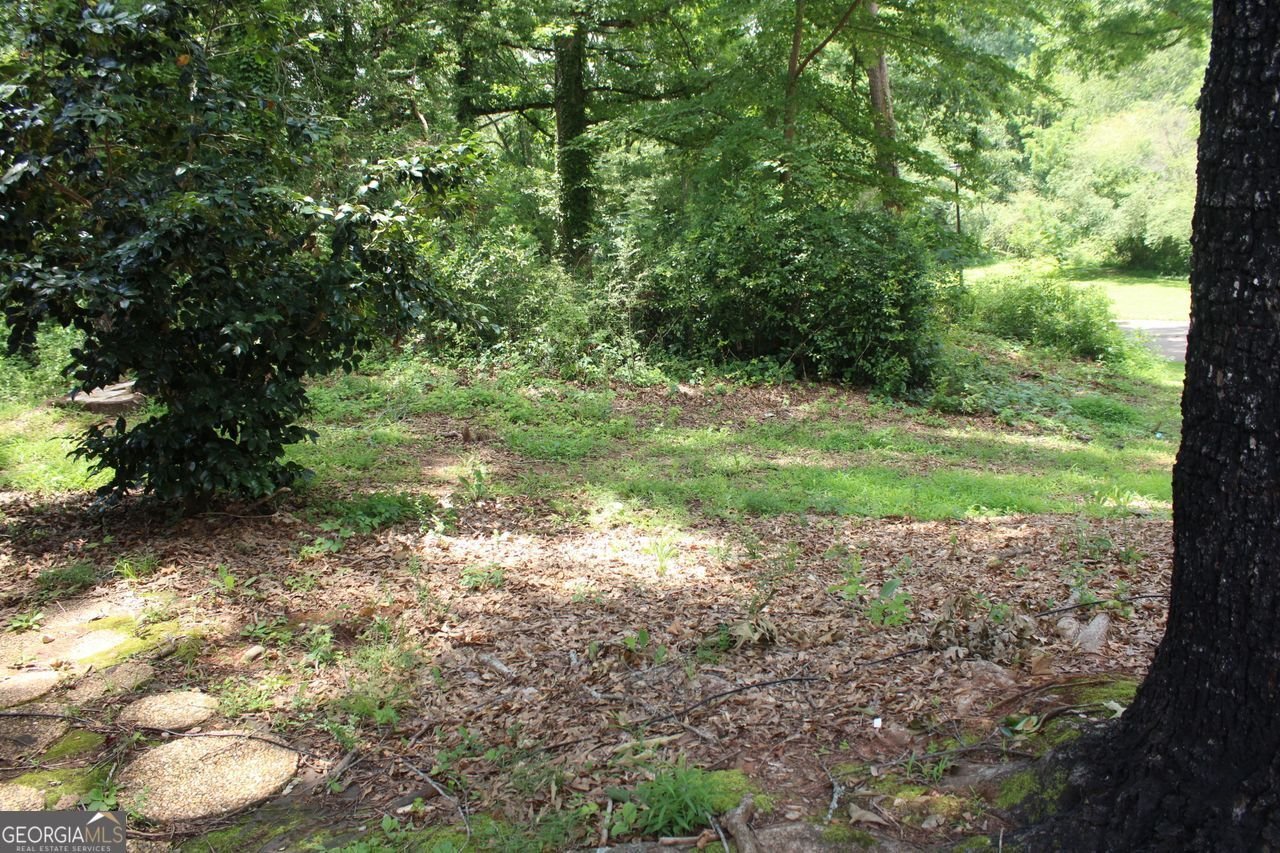 1159 VILLAGE MAIN Stone Mountain - 3