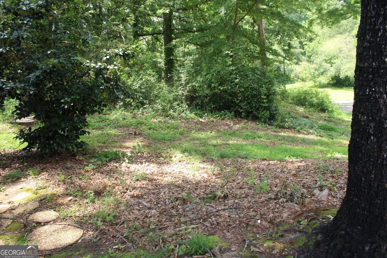 1159 VILLAGE MAIN Stone Mountain - 8