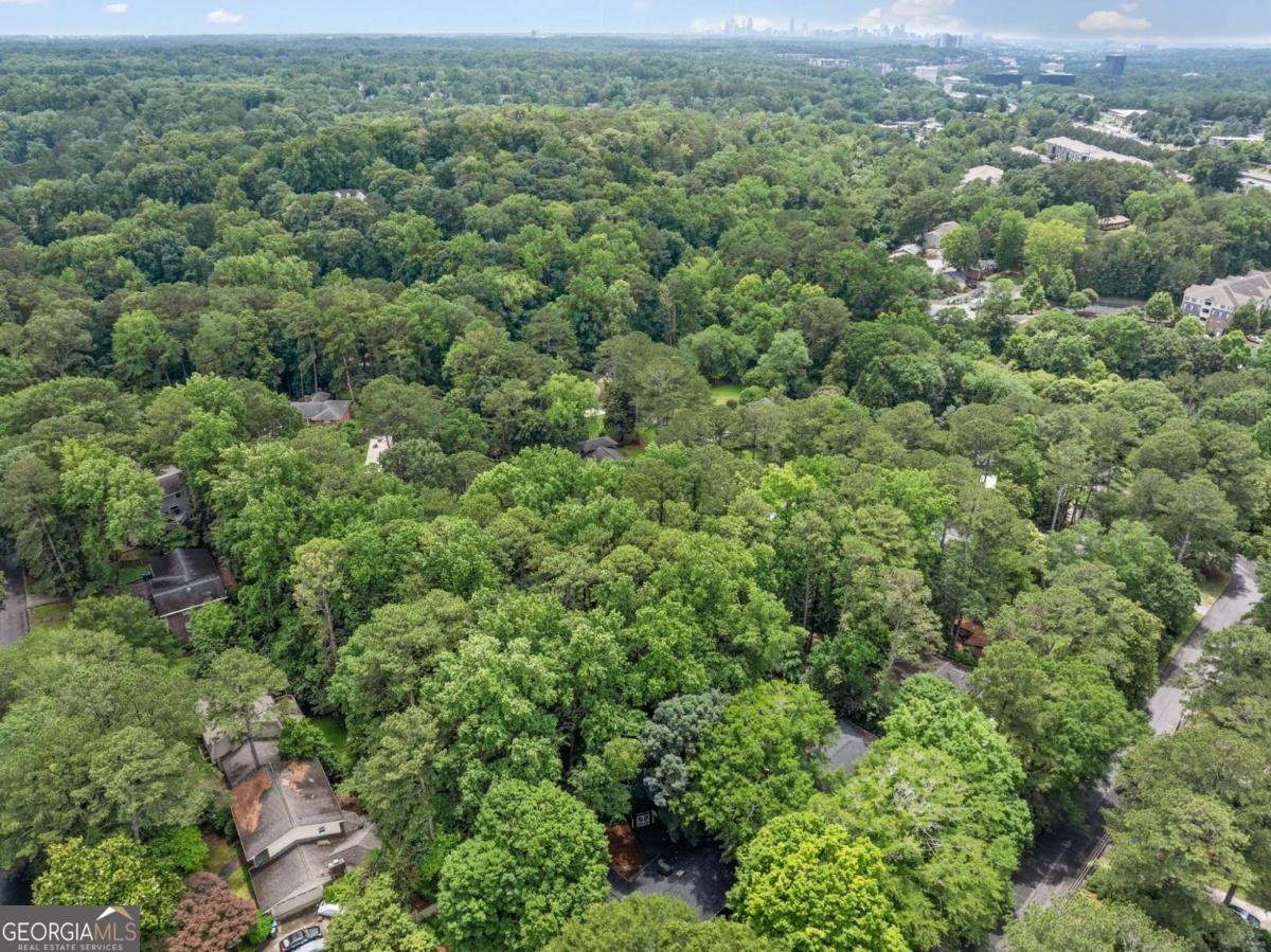 2356 Sherbrooke Drive Atlanta - 55