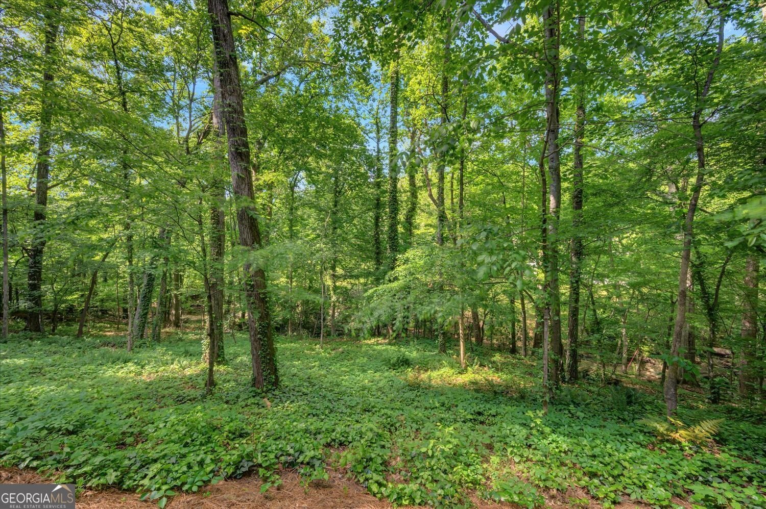 615 Mark Trail Court Atlanta - 10