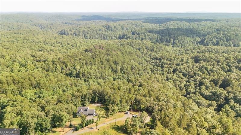428 Silas Road Dahlonega - 42
