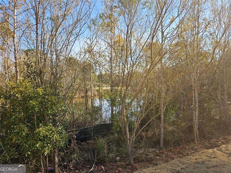 228 TRELLIS Walk Macon - 4