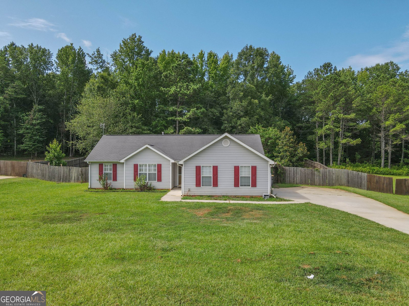 525 Hayward Bishop Way Senoia - 1