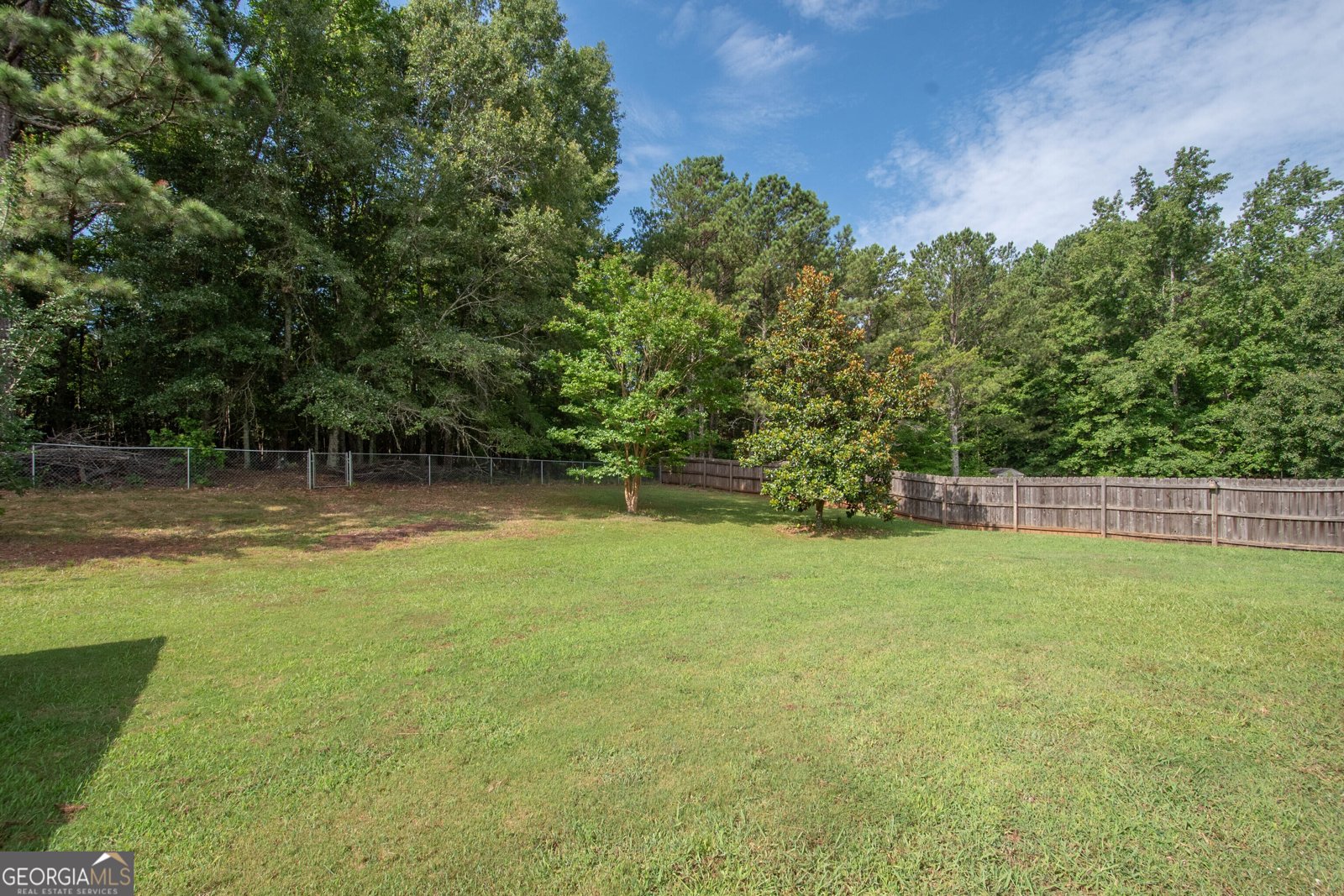525 Hayward Bishop Way Senoia - 23