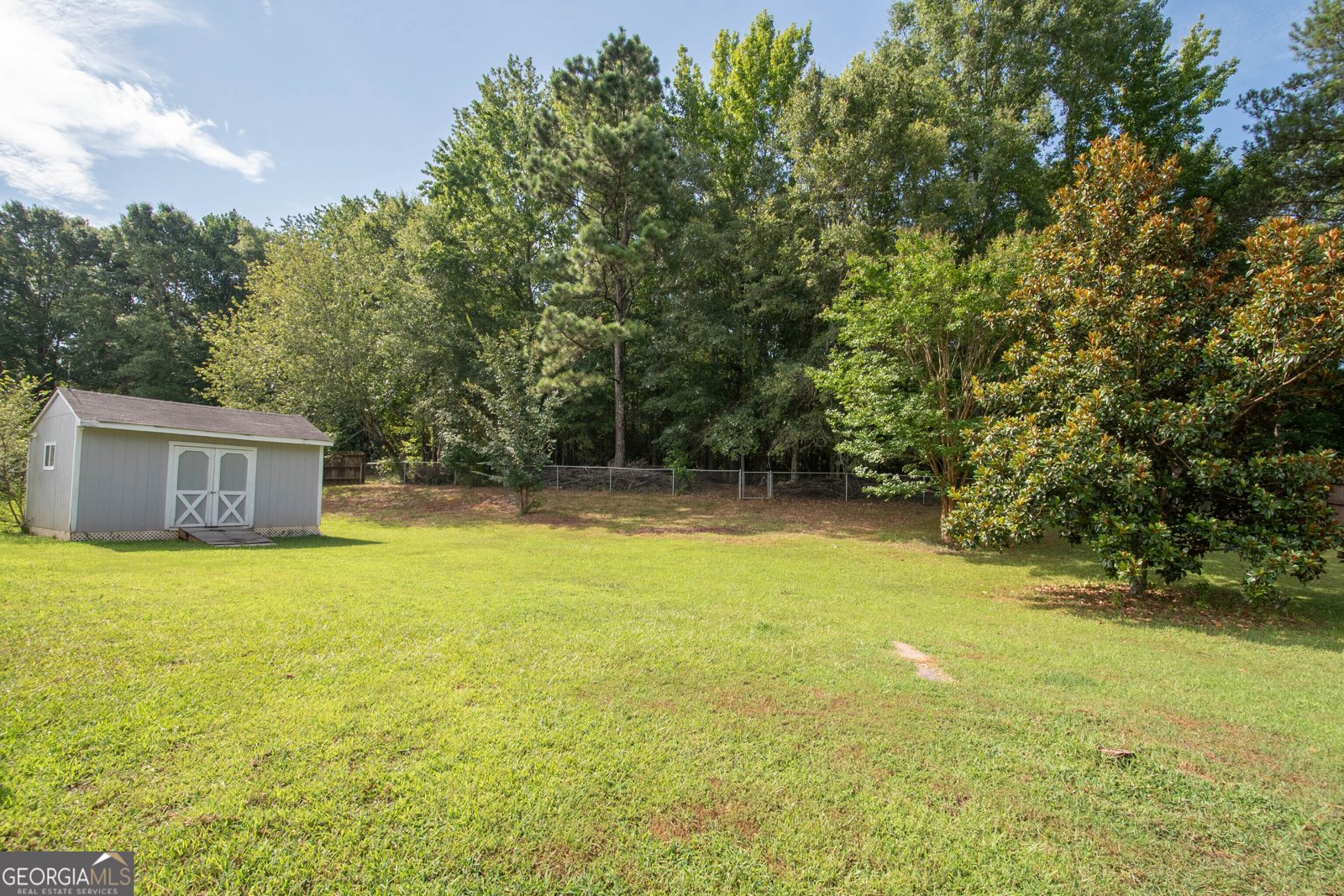 525 Hayward Bishop Way Senoia - 27