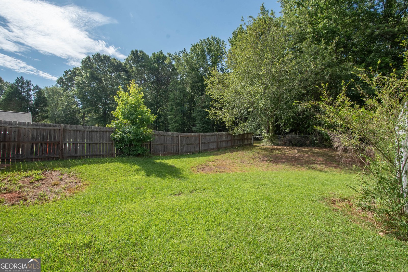525 Hayward Bishop Way Senoia - 28