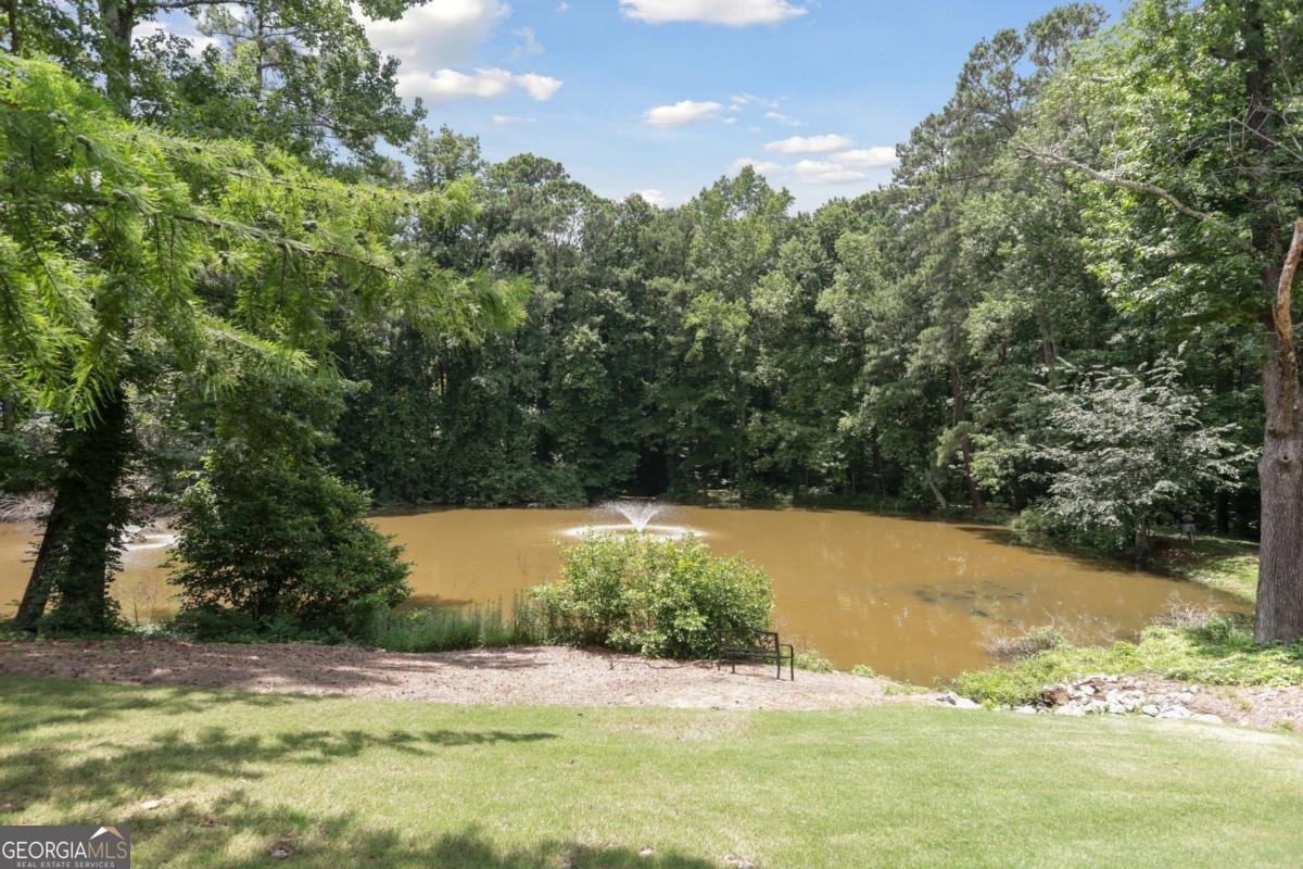 3745 Ashford Creek Avenue Atlanta - 32