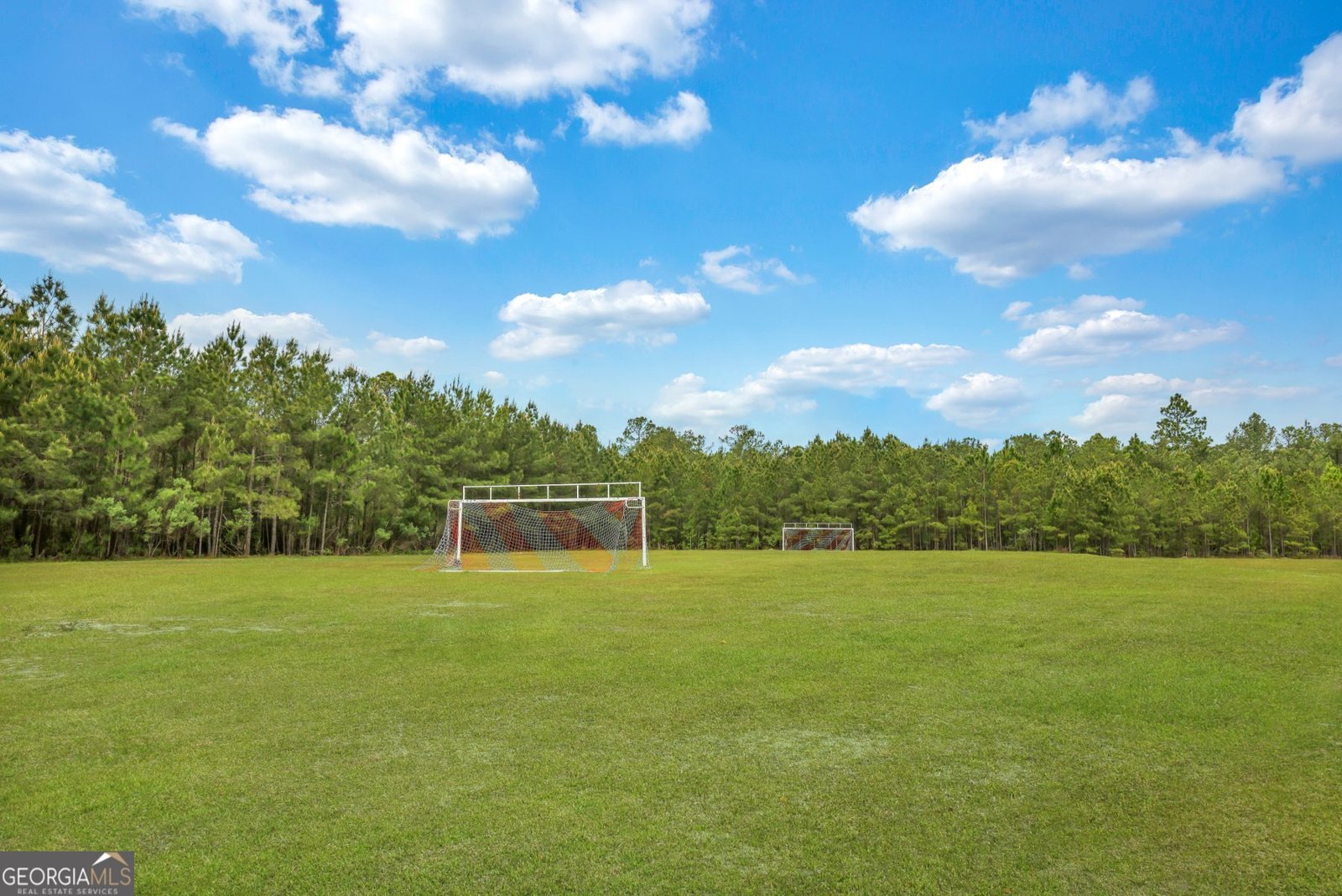 231 Cypress Creek Lane Guyton - 48