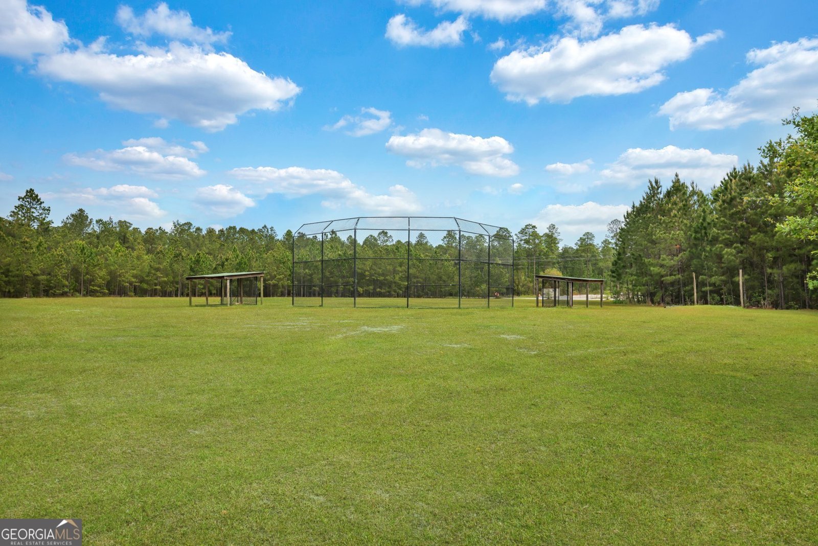 231 Cypress Creek Lane Guyton - 49