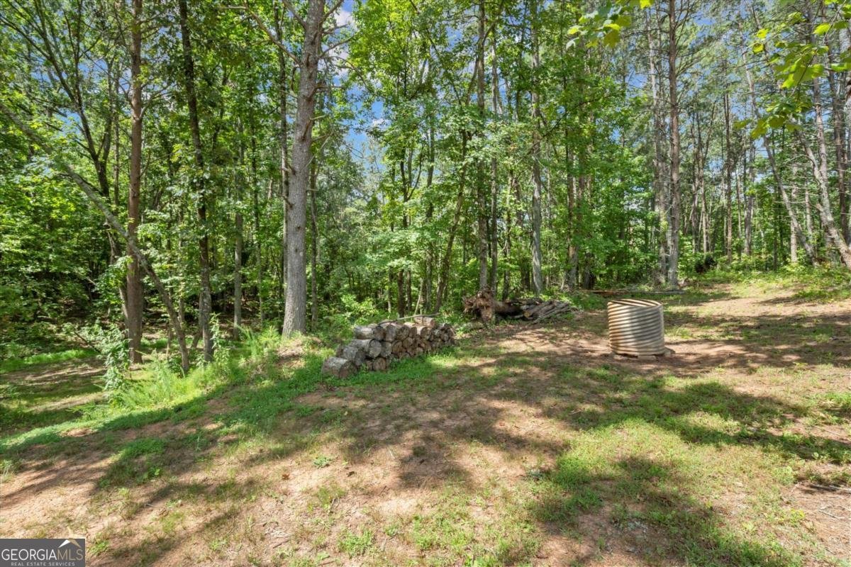4635 Yellow Creek Road Ball Ground - 57