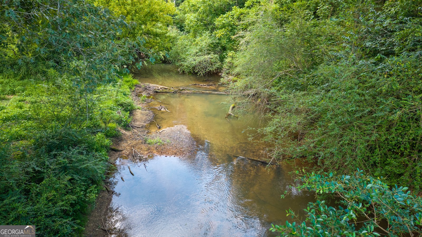 1216 Everett Springs Rd Calhoun - 2