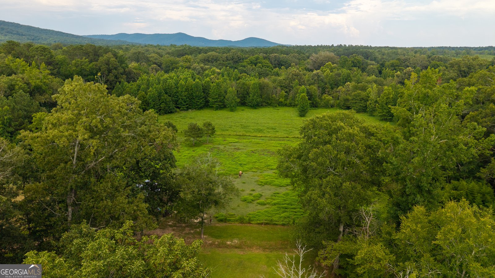1216 Everett Springs Rd Calhoun - 34