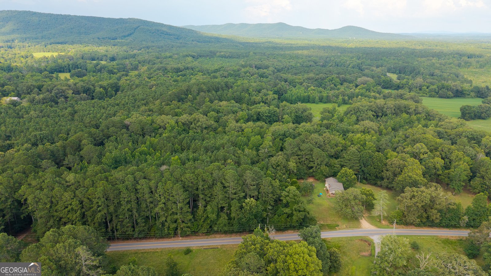 1216 Everett Springs Rd Calhoun - 36