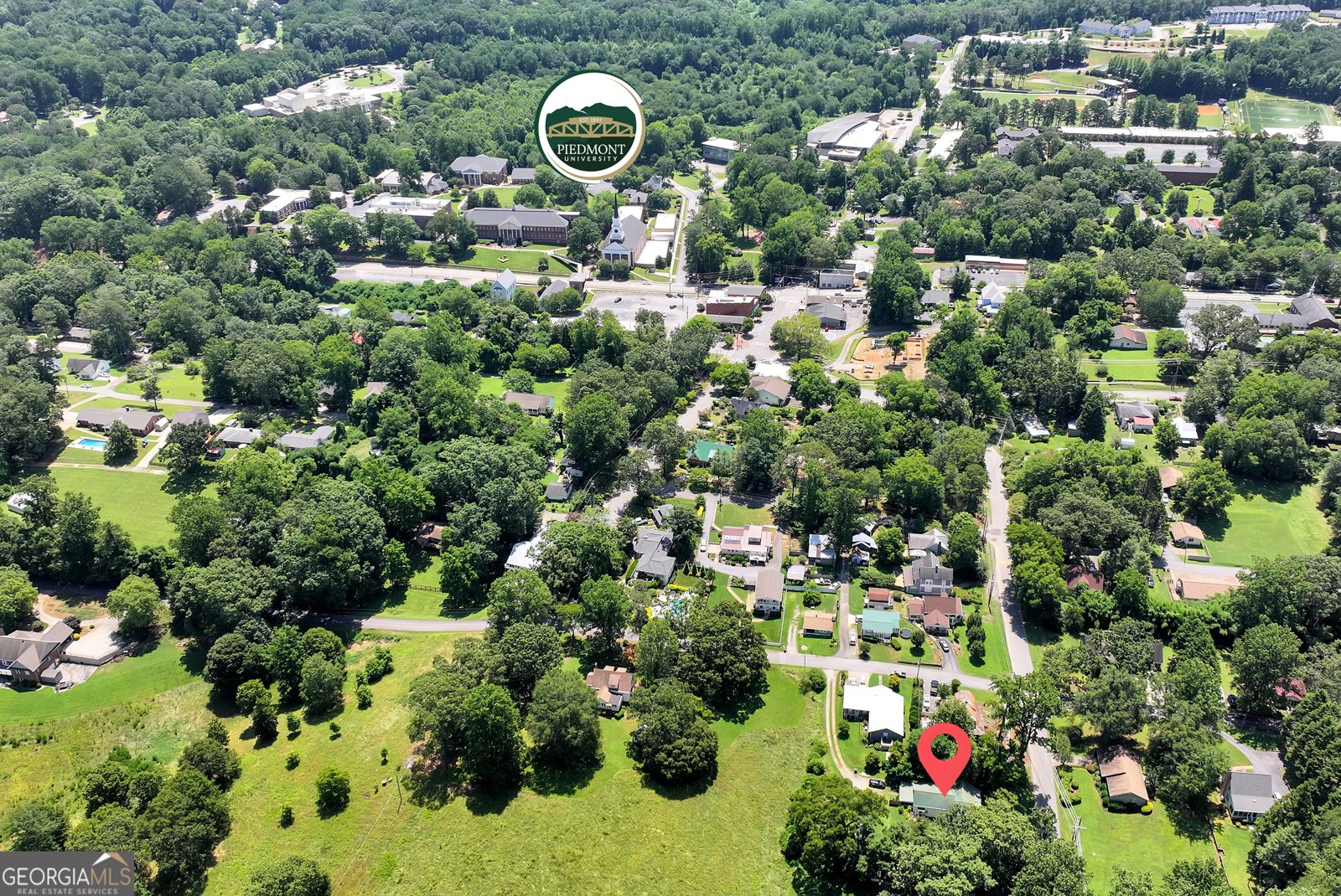 314 Holley Street Demorest - 45