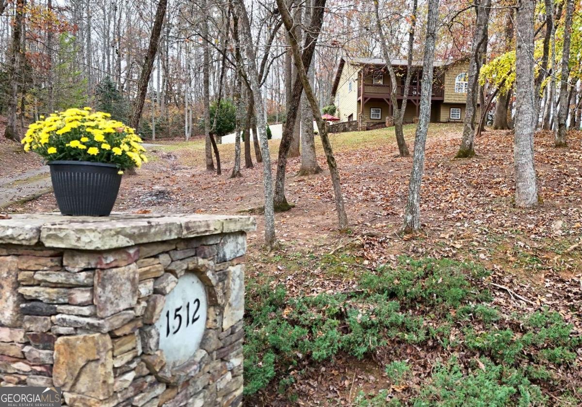 1512 Smithfield Lane Young Harris - 36