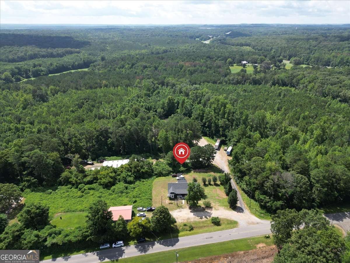 443 Tallapoosa East Church Road Buchanan - 41