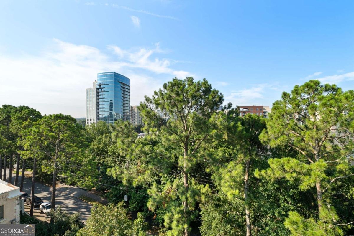 1 Biscayne Drive Atlanta - 4