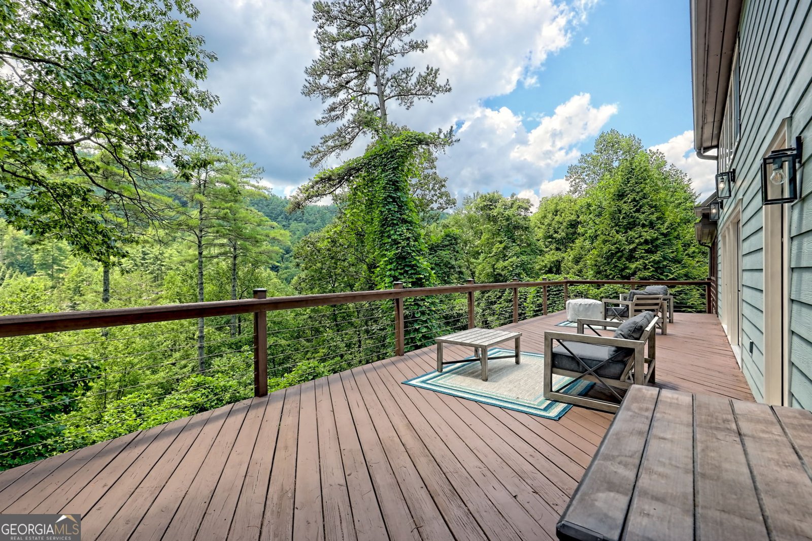 753 Rickman Airfield Road Clayton - 17